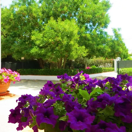 Casa vacanze Dandi's House *